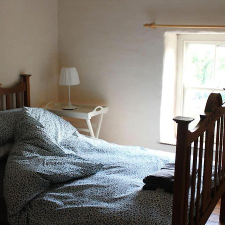 Relaxing Pet Friendly 2-Bed Cottage In Rhandirmwyn Llandovery Ngoại thất bức ảnh