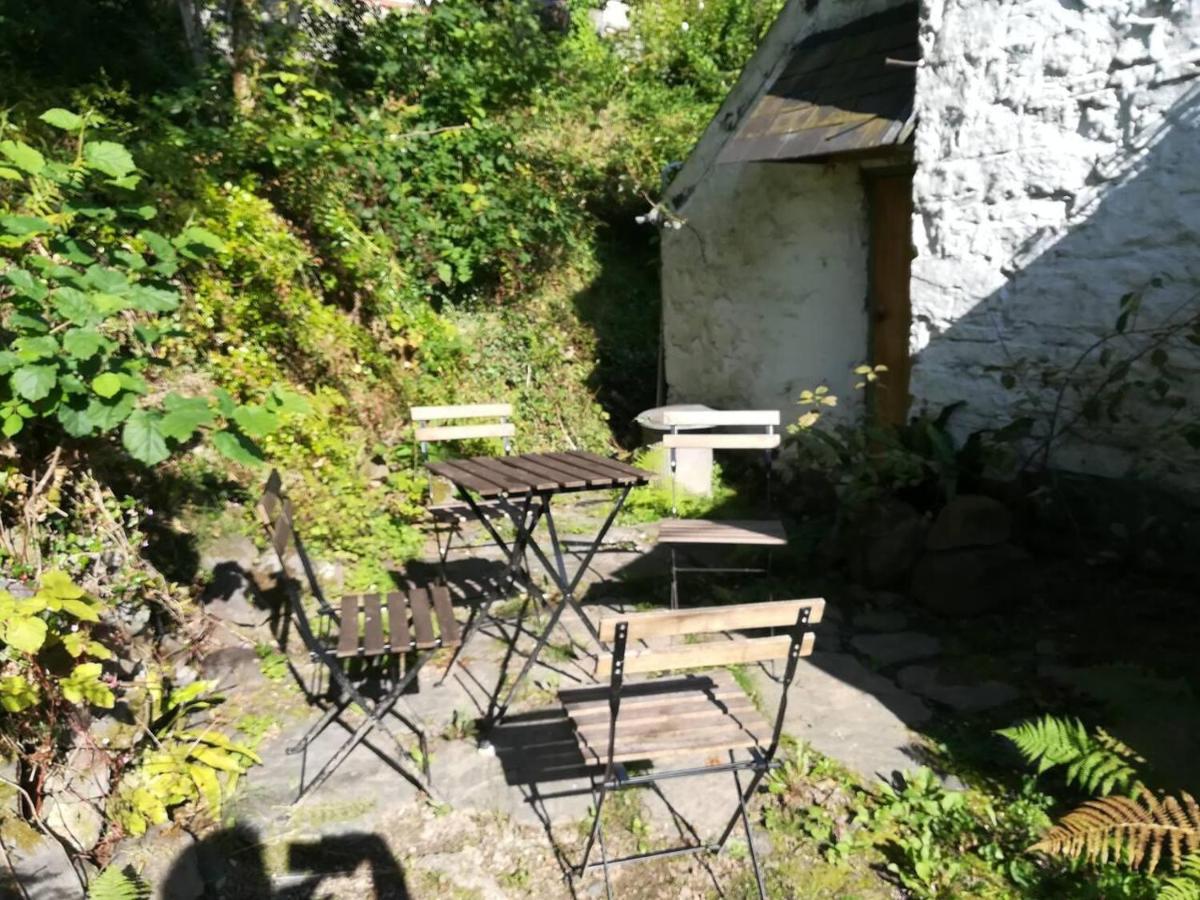 Relaxing Pet Friendly 2-Bed Cottage In Rhandirmwyn Llandovery Ngoại thất bức ảnh