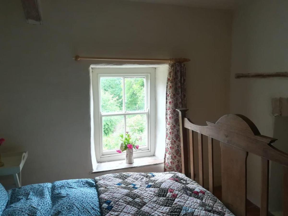Relaxing Pet Friendly 2-Bed Cottage In Rhandirmwyn Llandovery Ngoại thất bức ảnh